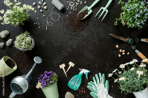 Gardening tools and pot flowers on black background. Gardener’s equipment set.