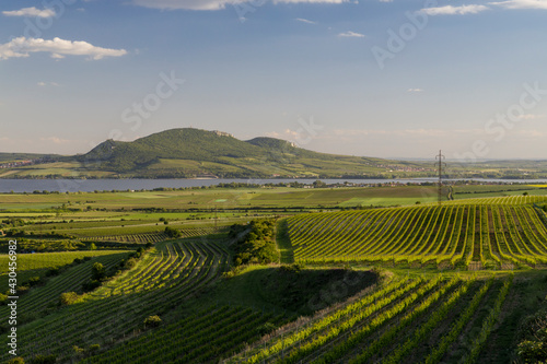 Spring vineyards under Palava near Sonberk, South Moravia, Czech Republic © Richard Semik