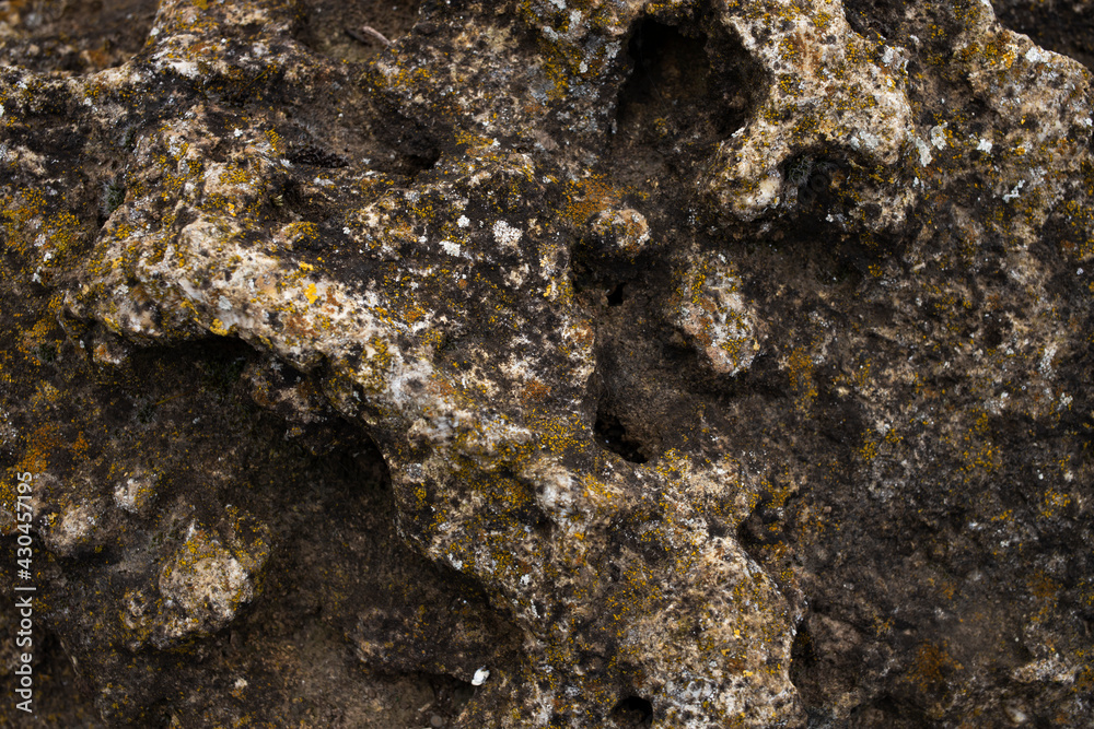 Natural gray stone texture in close-up. Natural background.