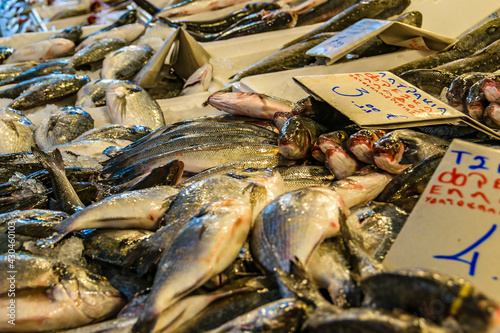 Fish on Sale, Dimotiki Agora Market, Athens photo