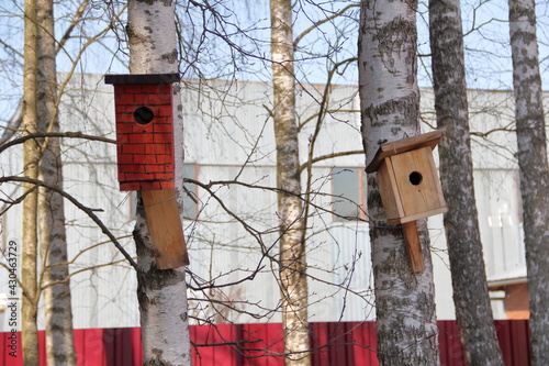 birdhouses on the birch © pavelpuzzle
