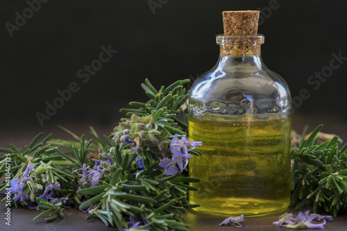 Rosemary oil and rosemary herb in glass bottle  Rosmarinus