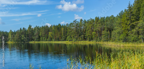 Fototapeta Naklejka Na Ścianę i Meble -  Panoramic view of beautiful forest lake in Russia.