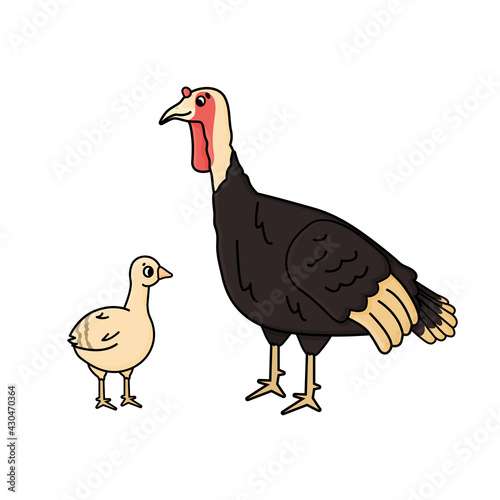 Vector cartoon outline turkey female and yellow poult chicken baby. Doodle isolated hand drawn animals illustration on white background