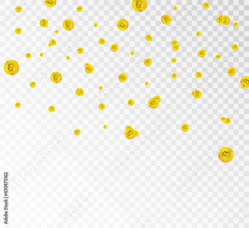 Bitcoin gold coin drops realistically with many coins. Isolated on transparent background.