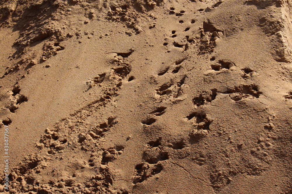 Sand gelb Sand gelb
