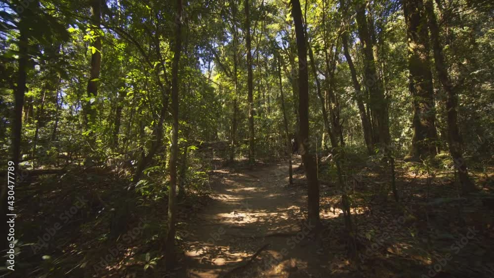 First person perspective of a hike in tropical forest of Thailand First person perspective of a hike in tropical forest of Thailand