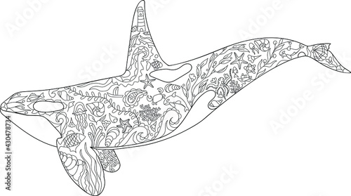 Killer whale coloring page vector illustration, Zentangle animal outline, Sea animal ornament corals and shells