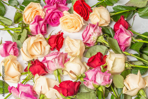 Fototapeta Naklejka Na Ścianę i Meble -  Assorted fresh multicolored roses isolated on white background