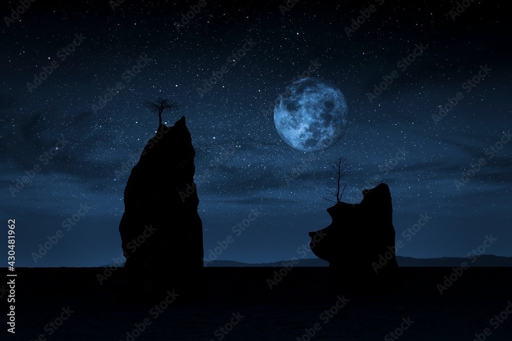 Seascape with cliff silhouettes at moonlight
