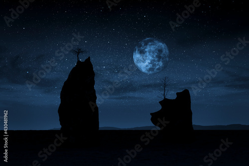 Obraz na płótnie Seascape with cliff silhouettes at moonlight w salonie