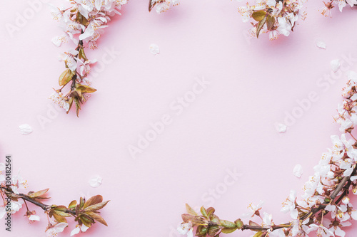 Cherry tree blossom. April floral nature and spring sakura blossom on soft pink background. Banner for 8 march  Happy Easter with place for text. Springtime concept. Top view. Flat lay.