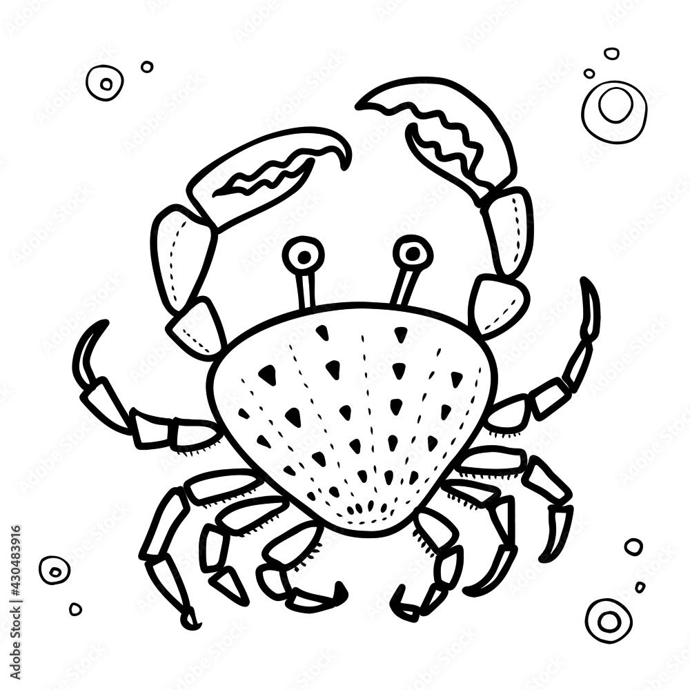 Crab spider cartoon. Marine animal Crab. Doodle style vector illustration Crab spider cartoon. Marine animal Crab. Doodle style vector illustration