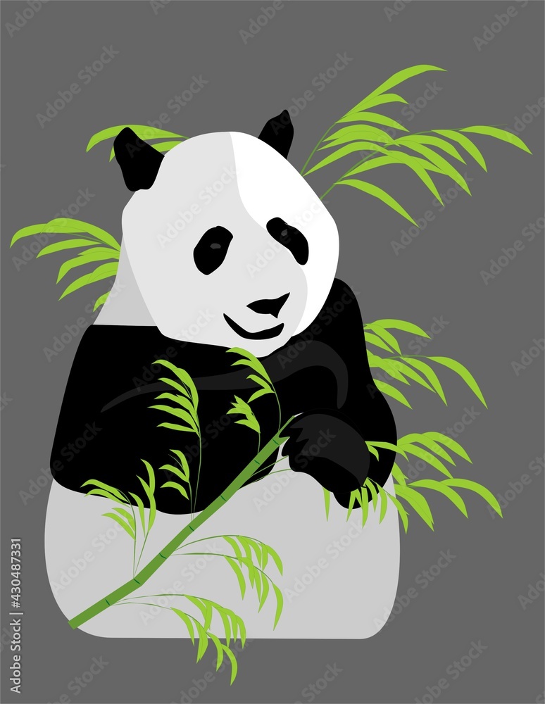 oso panda comiendo bambú oso panda comiendo bambú
