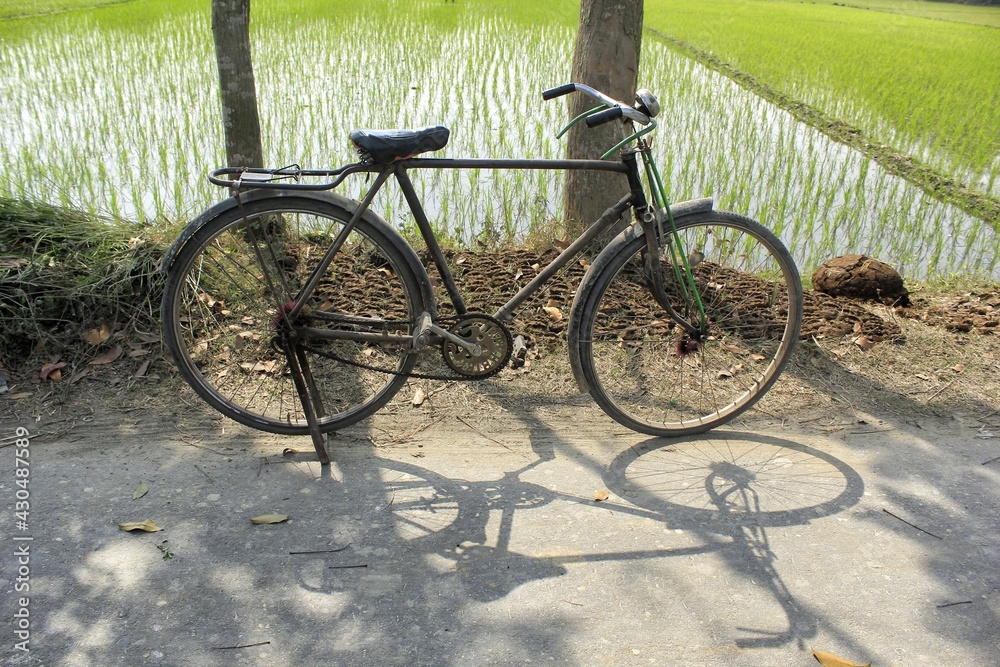 bicycle on the road