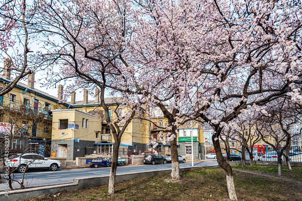The urban landscape of Changchun, China in spring