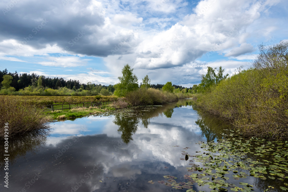 view of a large lake beside a fenced in blueberry farm in the pacific northwest on a cloudy, sunny day view of a large lake beside a fenced in blueberry farm in the pacific northwest on a cloudy, sunny day