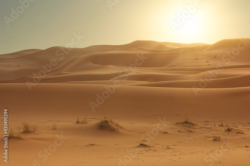 Sahara. © Leopoldo