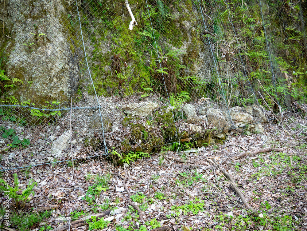 Fototapeta premium 土砂崩れ