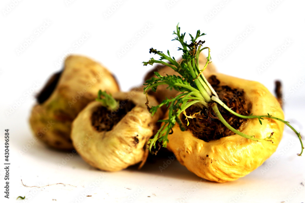 Peruvian Maca root aphrodisiac for health on white background