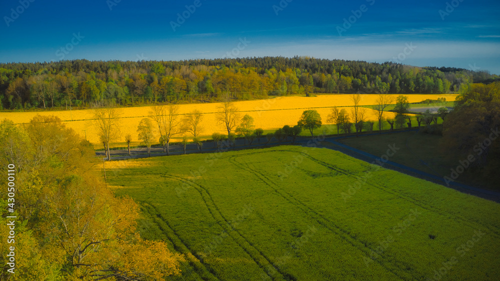 Fototapeta premium Stockholm Ekero - Aerial view of a Rapeseed field 20-04-01. High quality 4k footage