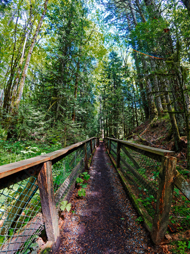 Old abandoned concrete constructions covered with moss in the forest area of Tod Inlet in Victoria BC