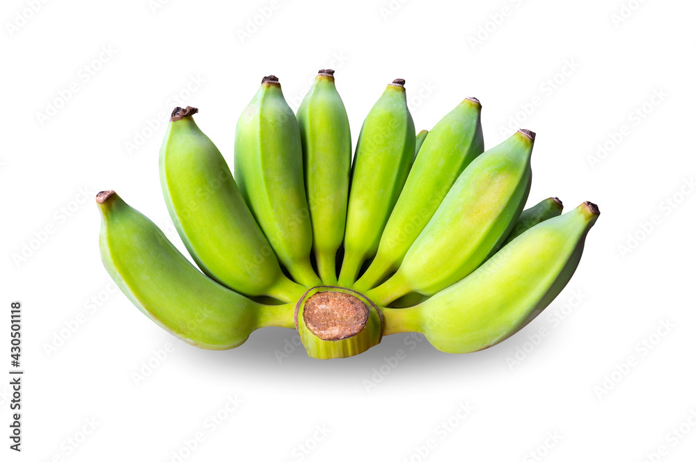 Bunch of raw green bananas isolated on white background Bunch of raw green bananas isolated on white background