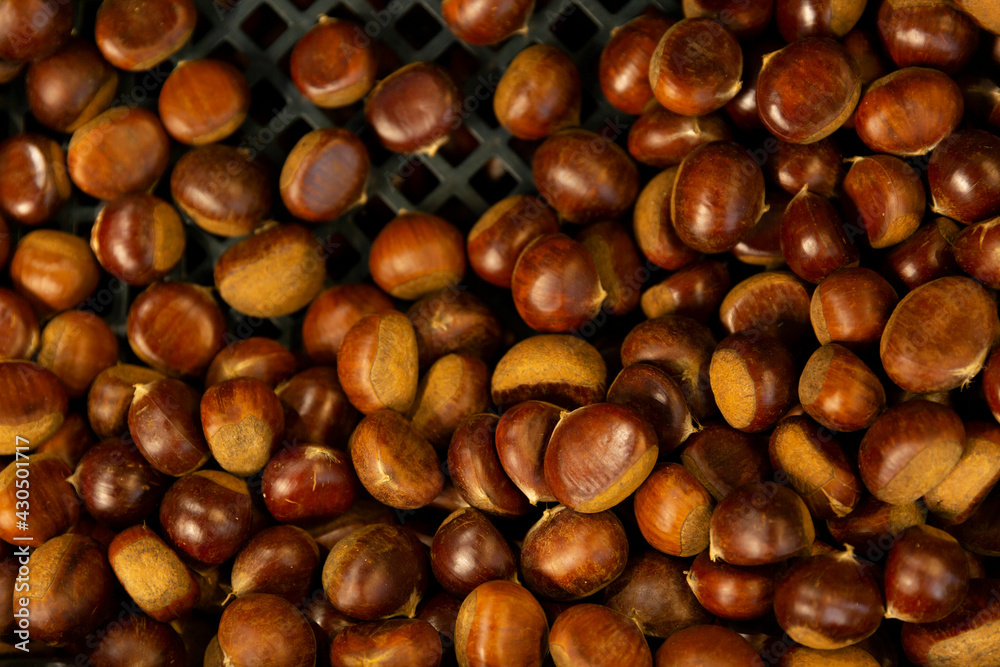 Top view of Roasted chestnut in South Korea street food market Top view of Roasted chestnut in South Korea street food market