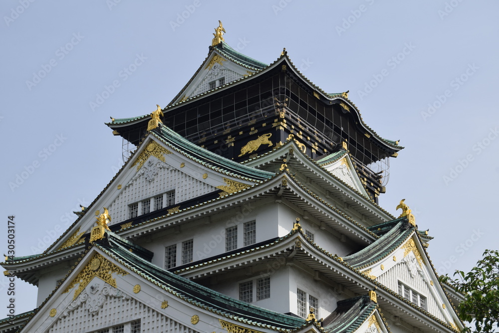 Fototapeta premium 大阪城天守閣