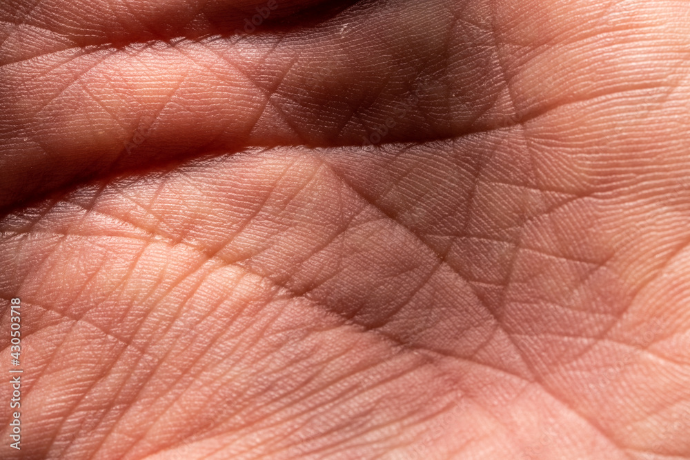 Naklejka premium Photo showing super detailed skin texture. Palm hand macro photography. High-resolution image.