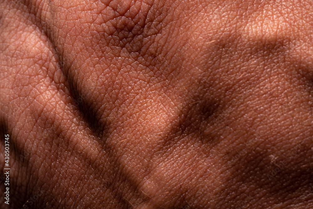 Photo showing super detailed skin texture. Hand macro photography. High-resolution image. Photo showing super detailed skin texture. Hand macro photography. High-resolution image.