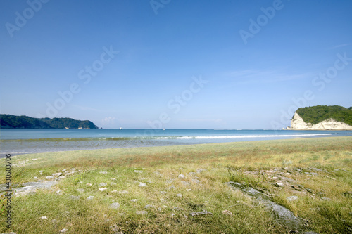 The scenery of green grass on the beach
