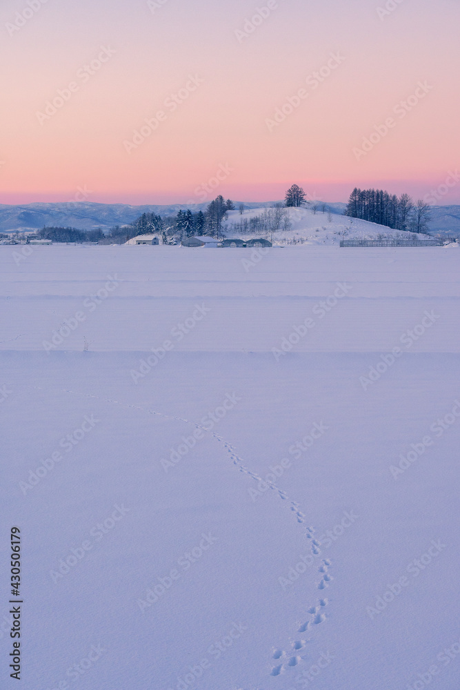Fototapeta premium 北海道の冬景色 夜明け前の農村風景 