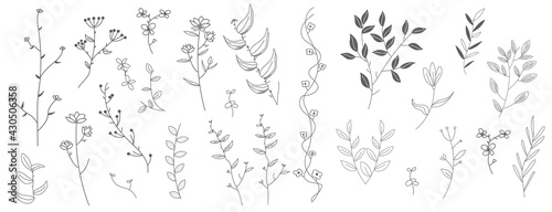 Set of Outline Floral doodle design elements isolated on white background