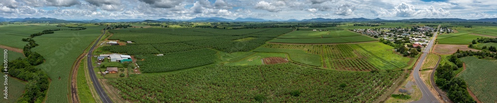 Aerial drone view of bananas growing next to sugar cane in fields in South Johnstone, Far North Queensland, Australia
