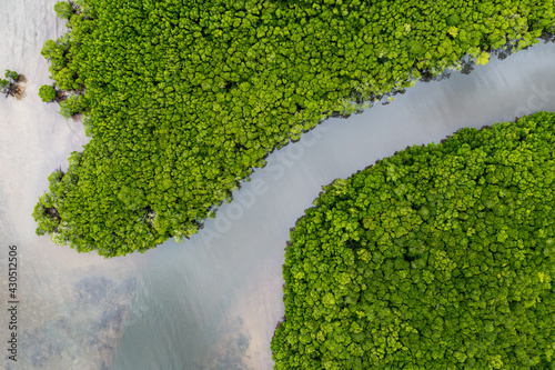 Abstract aerial view of mangrove swamps in Port Douglas, Queensland, Australia