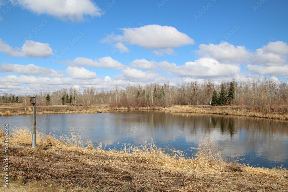 April On The Land, Pylypow Wetlands, Edmonton, Alberta