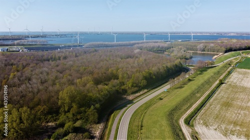 Road towards Willemstad in the Netherlands with in the background the volkerak on which industry sails and leisure sails. Afforestation in nature piece of green natural environment.