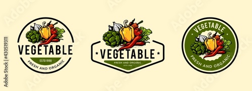 vegetable logo design