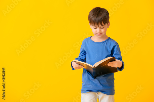 Little boy with Bible on co...