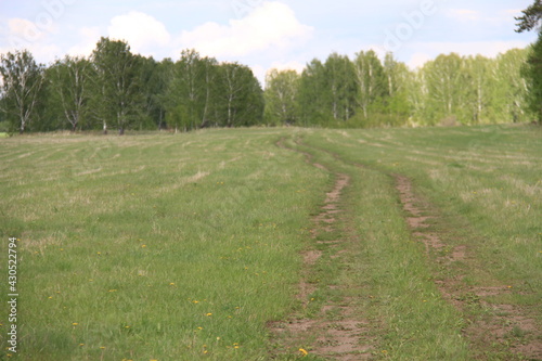 path in the field