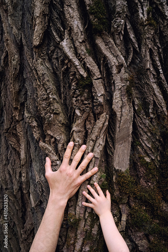 Hands of adult man and small child touching old bark on huge oak tree trunk. Love and protect nature concept. Green eco-friendly lifestyle. Vertical.