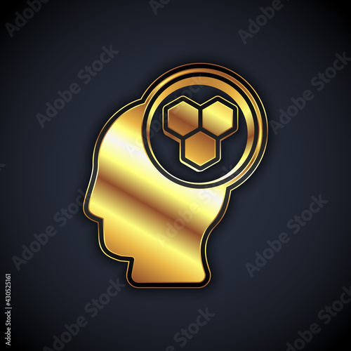 Gold Beekeeper icon isolated on black background. Special protective uniform. Vector