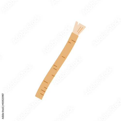 Siwak or miswak organic toothbrush isolated on white background. Traditional Ramadan islamic teeth hygiene and whitening concept. Flat design cartoon dental health care vector clip art illustration. photo
