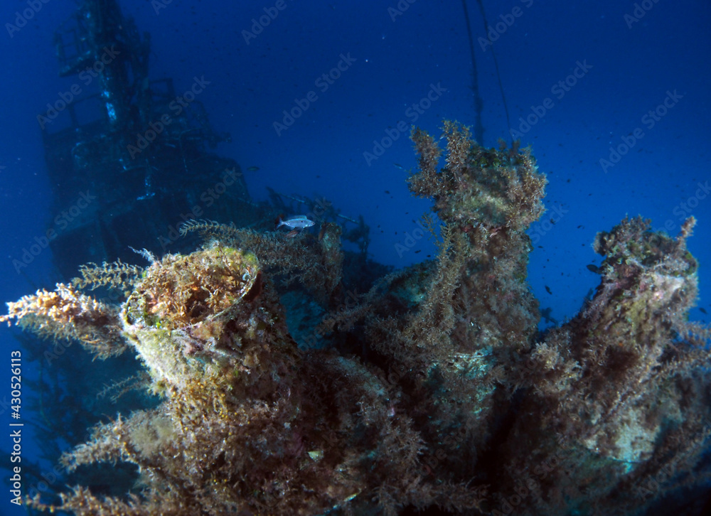 Fototapeta premium Scuba Diving Malta Gozo Comino