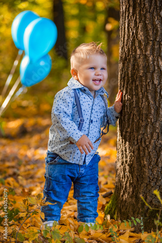 little boy in the autumn forest photo