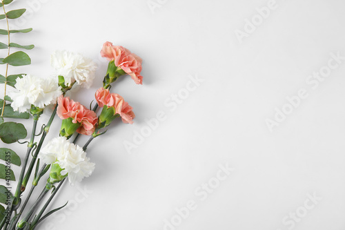 Fototapeta Naklejka Na Ścianę i Meble -  Fresh carnation flowers on white background