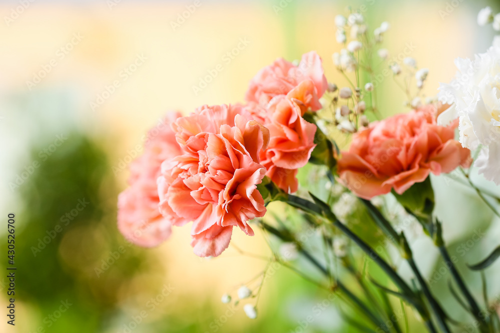 Bouquet of beautiful carnation flowers outdoors