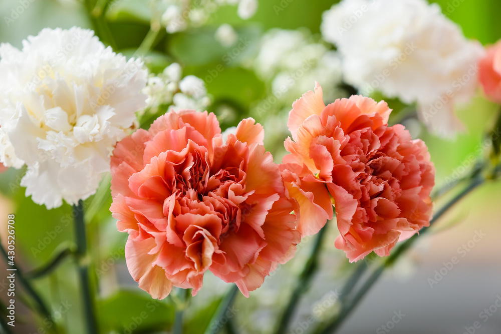 Poster Bouquet of beautiful carnation flowers outdoors – Wandbild
