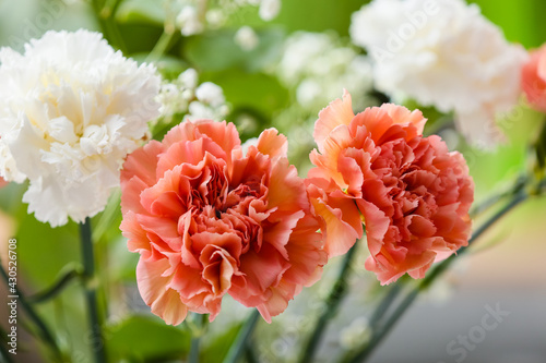 Foto Bouquet of beautiful carnation flowers outdoors